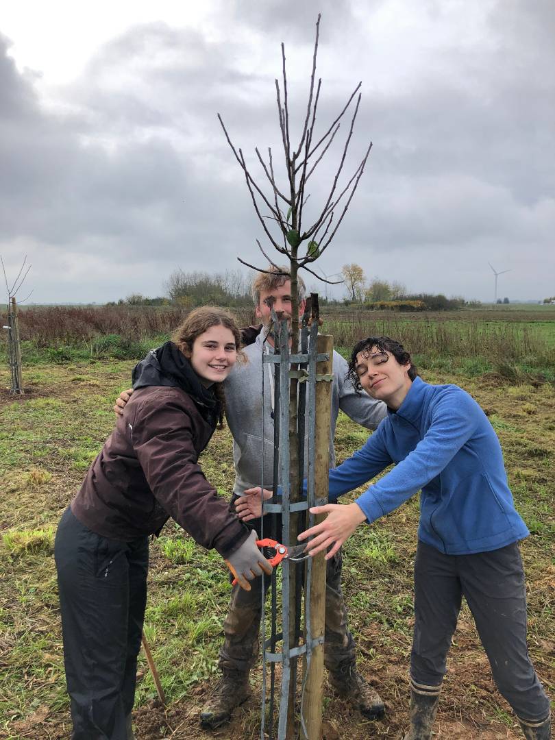 "la star, c'est l'arbre"