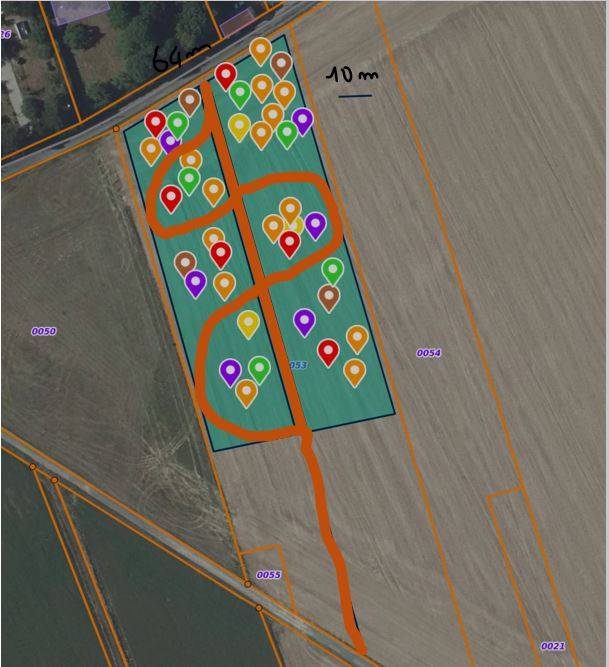Tentative de plan (l'ordre des arbres a changé) :-)