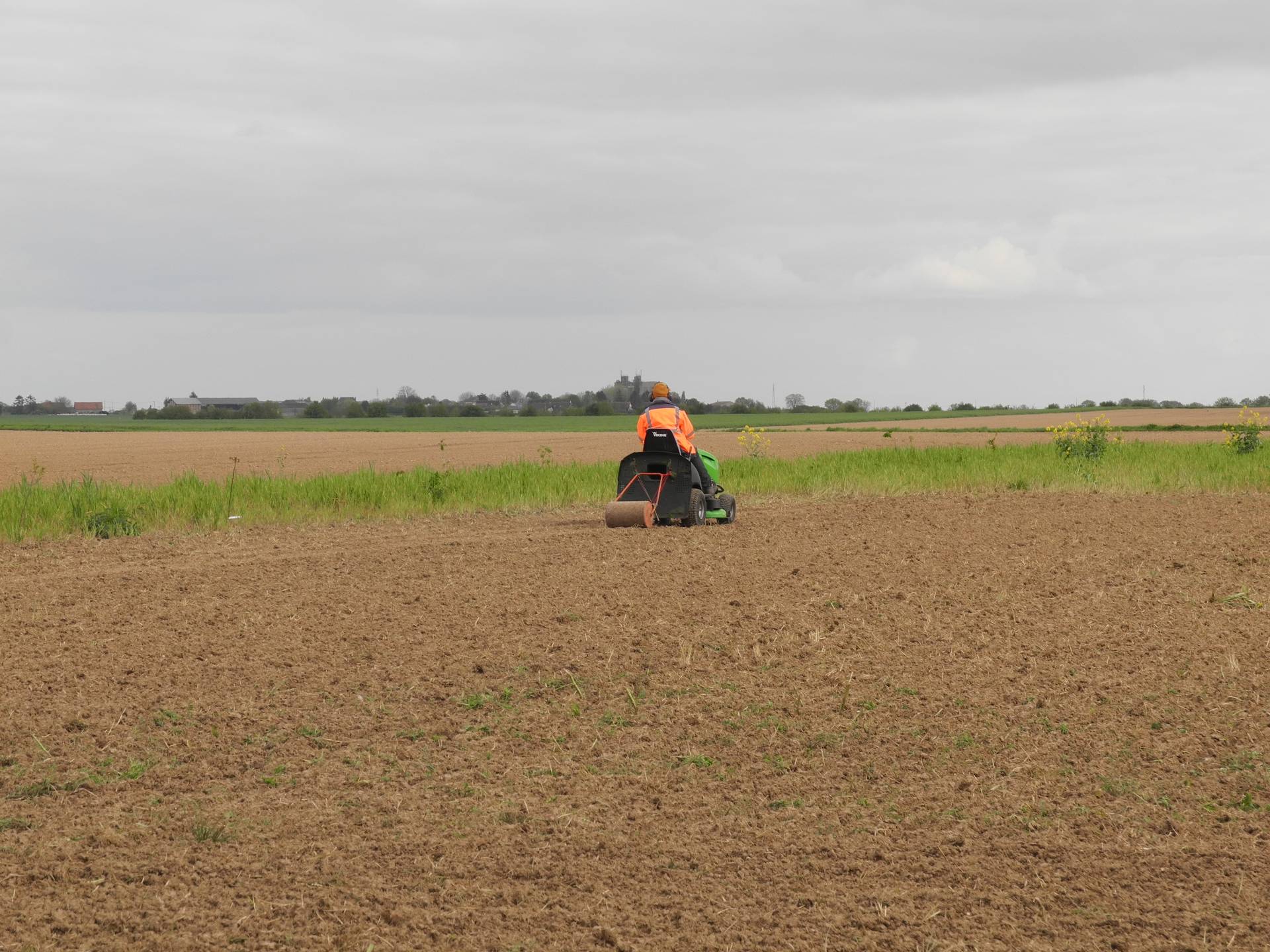 Tasser la terre (pour éviter que toutes les graines soient mangées par les oiseaux)