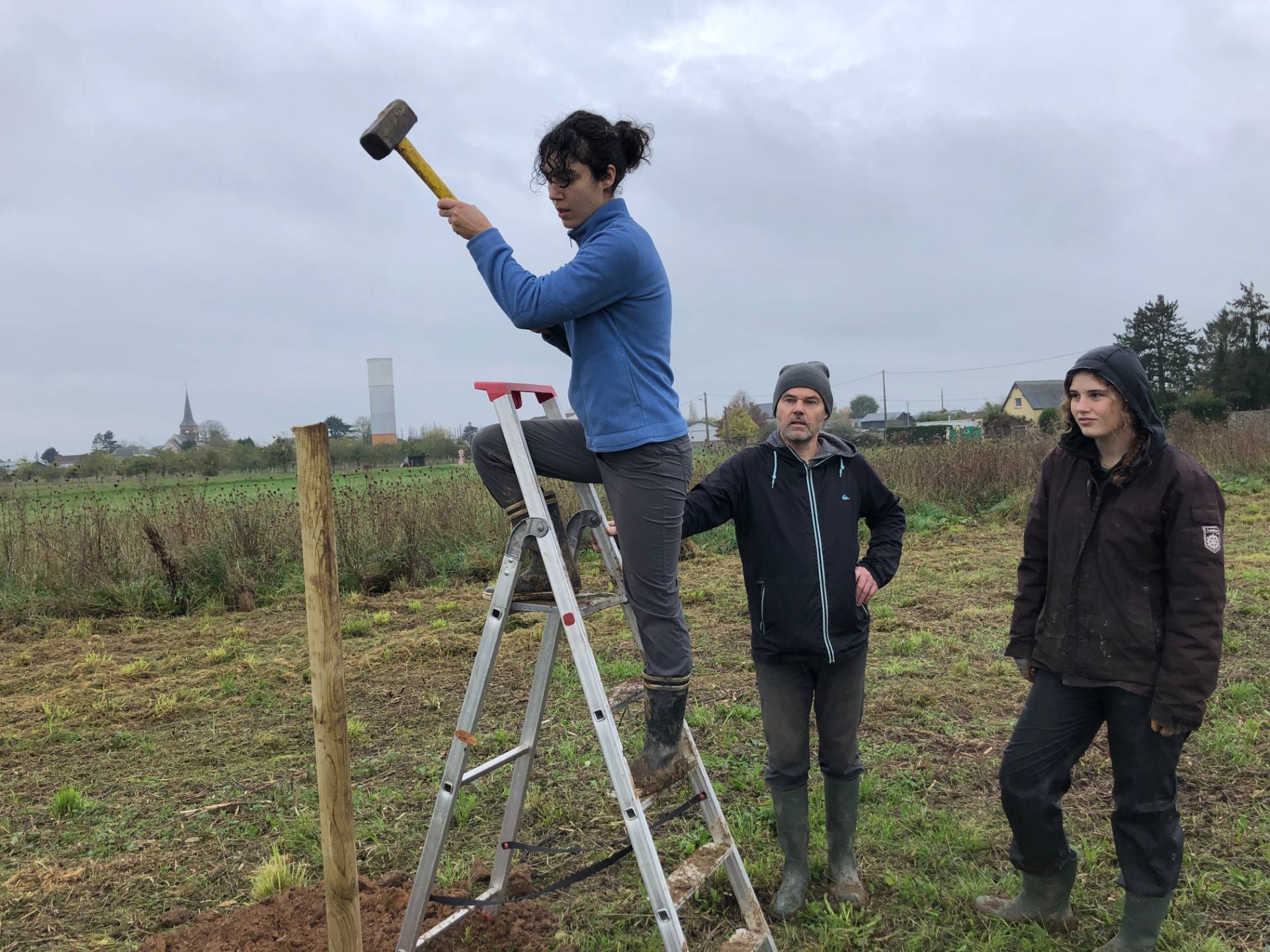 Pose du tuteur...à la masse