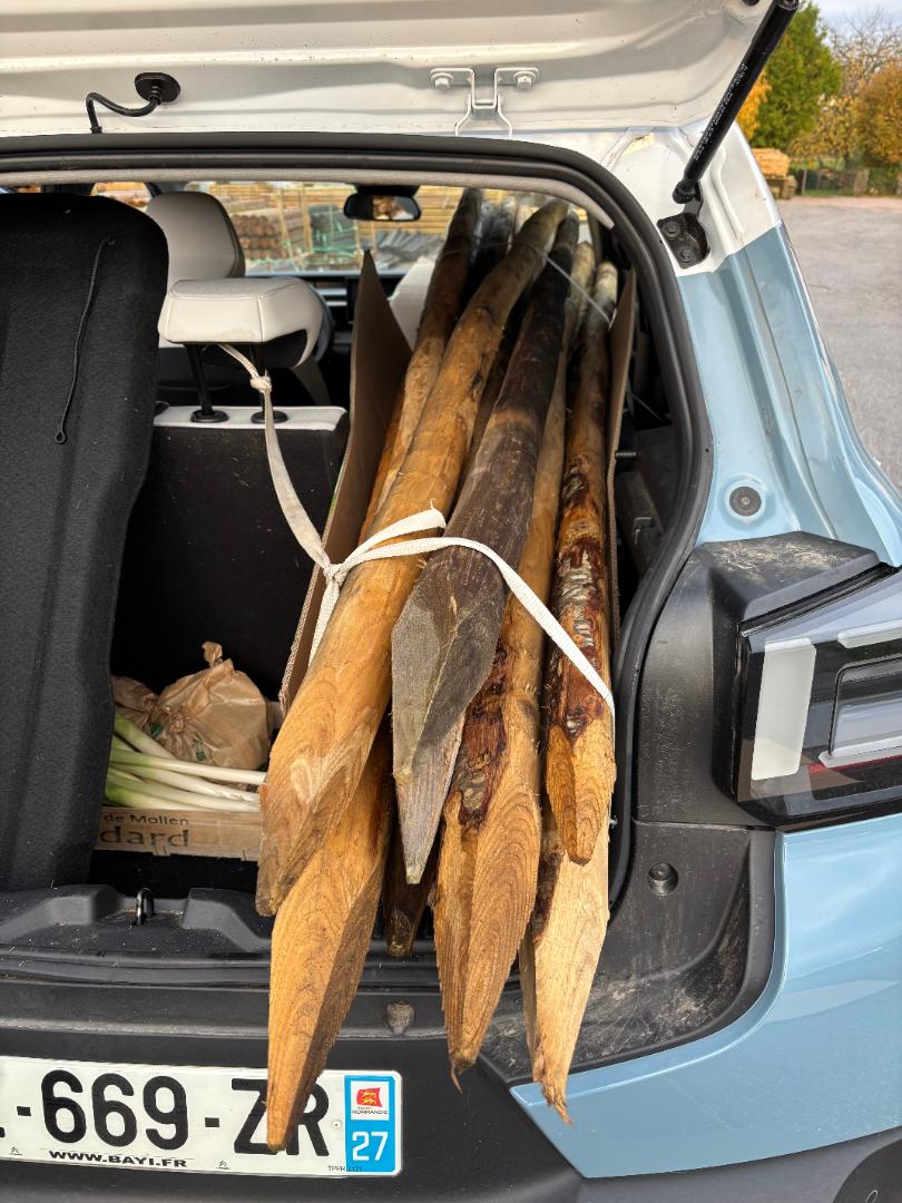 Les piquets en châtaignier