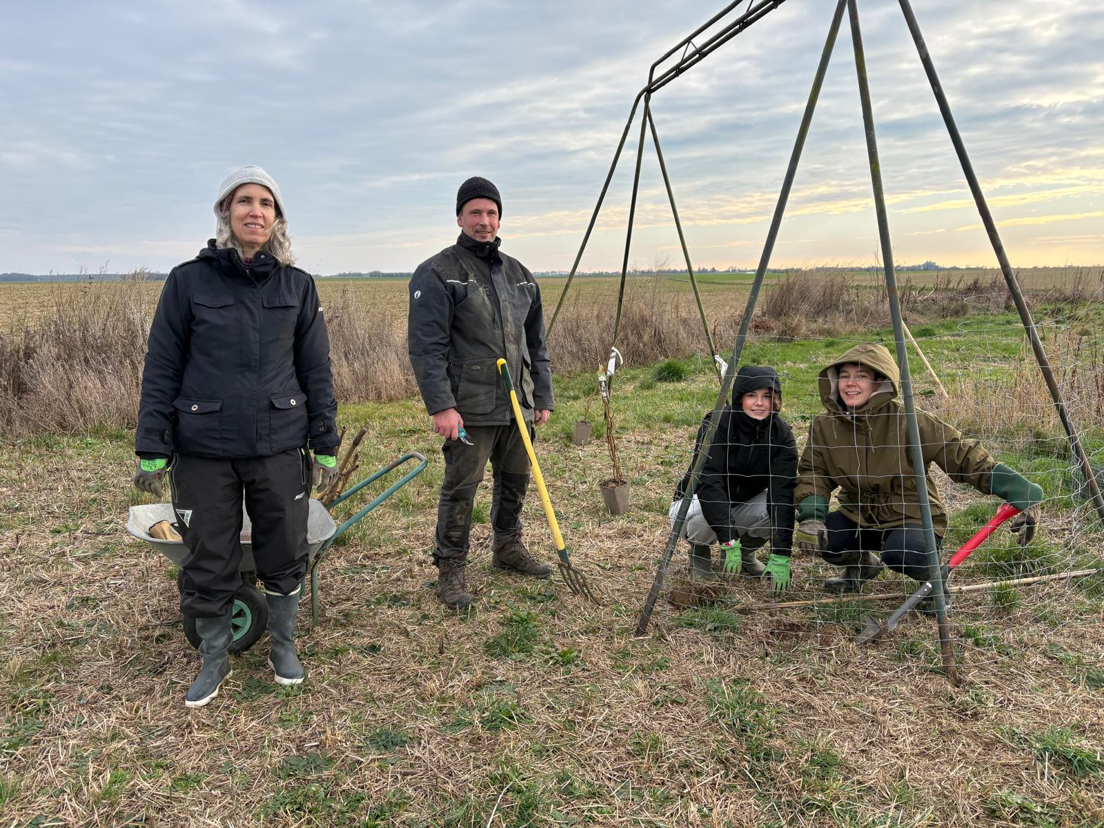 Plantation des 3 kiwi : 2 femelles et 1 mâle sous le portique