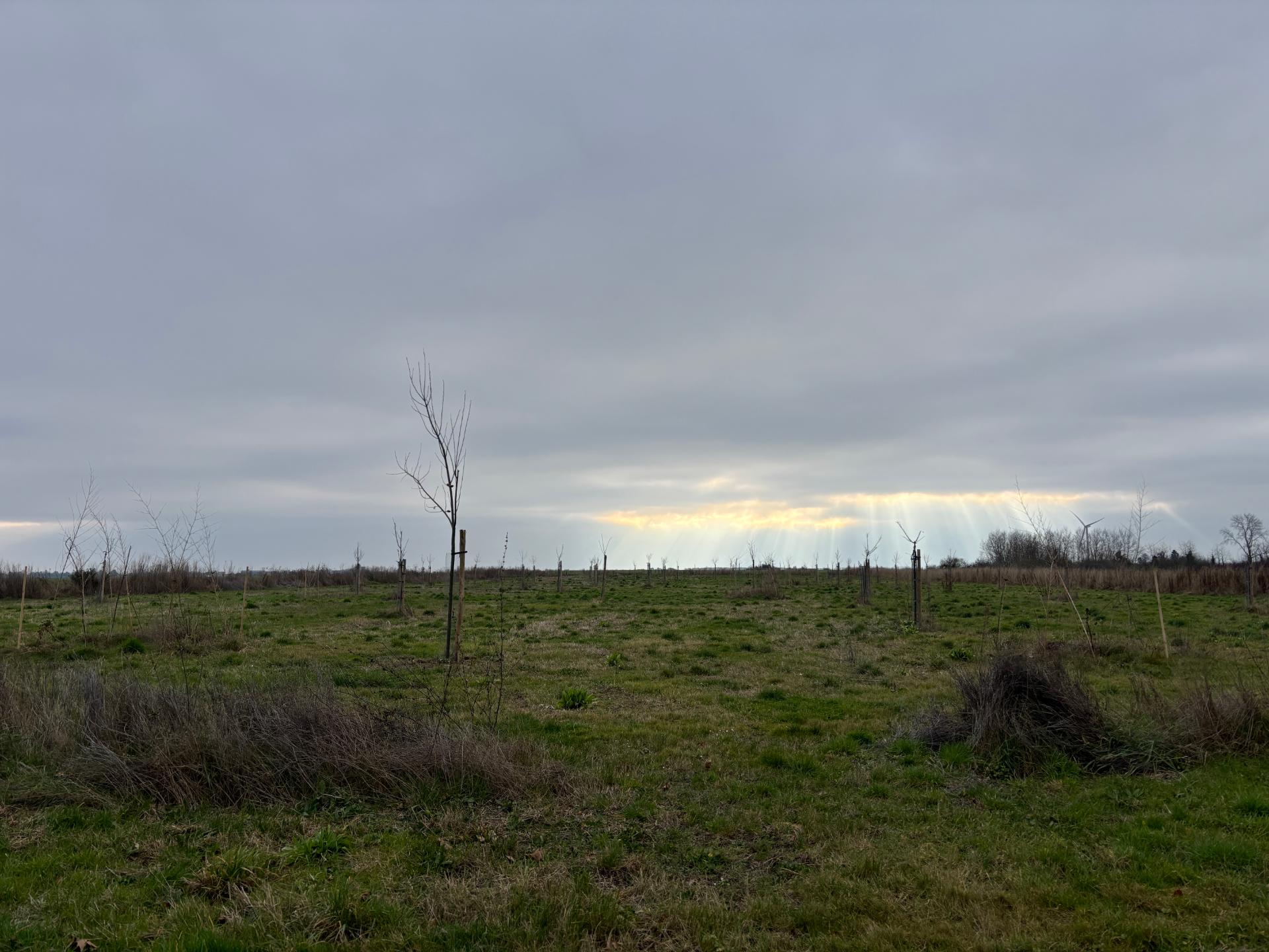 Rayons de soleil d'hivers